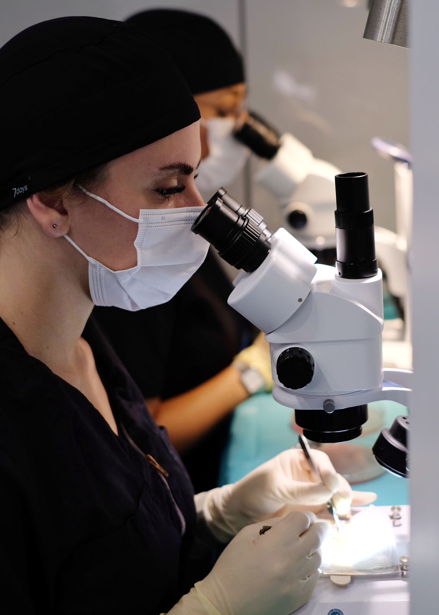 analyse des greffons lors d'une greffe de cheveux au cabinet du docteur bodnar